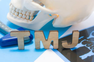 Model showing TMJ